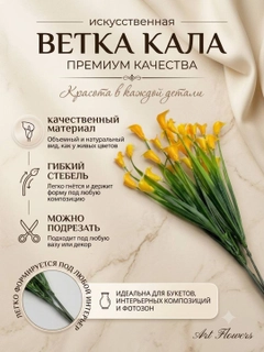 Bronza