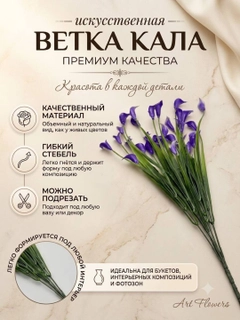 Lavanda