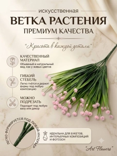 Korall melanj