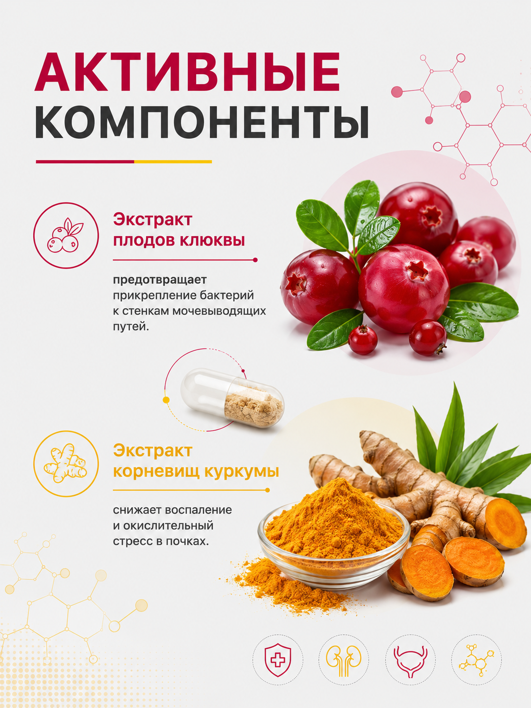 Уробест, для почек, от цистита, 30 капсул