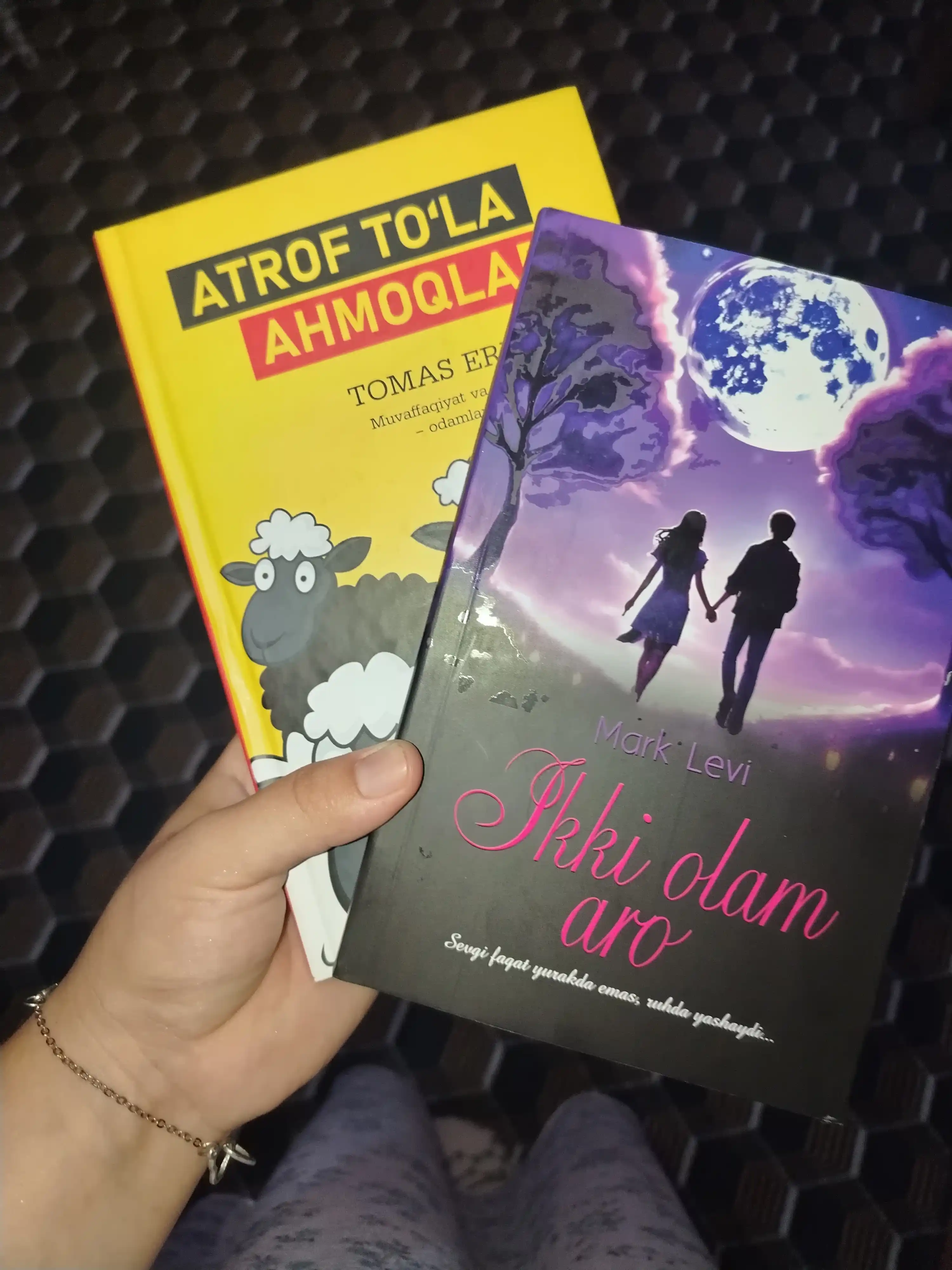 Atrof to‘la ahmoqlar — Tomas Erikson, turli xarakterlar bilan muloqot