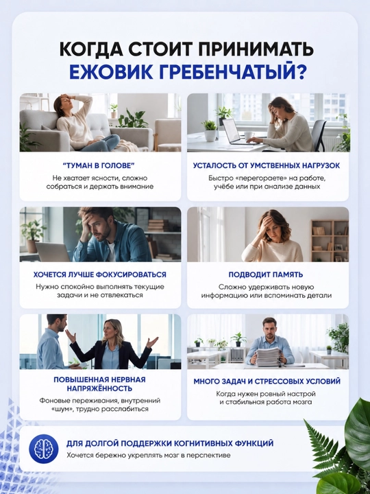 Ежовик гребенчатый 120 капсул. Lion's mane - для памяти, нервной системы, поддержка мозга