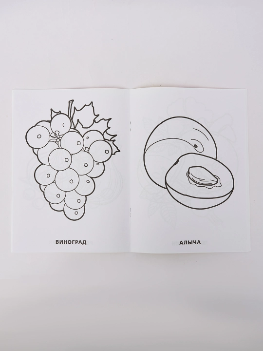Раскраска для детей, развивающая, для малышей, с крупными картинками