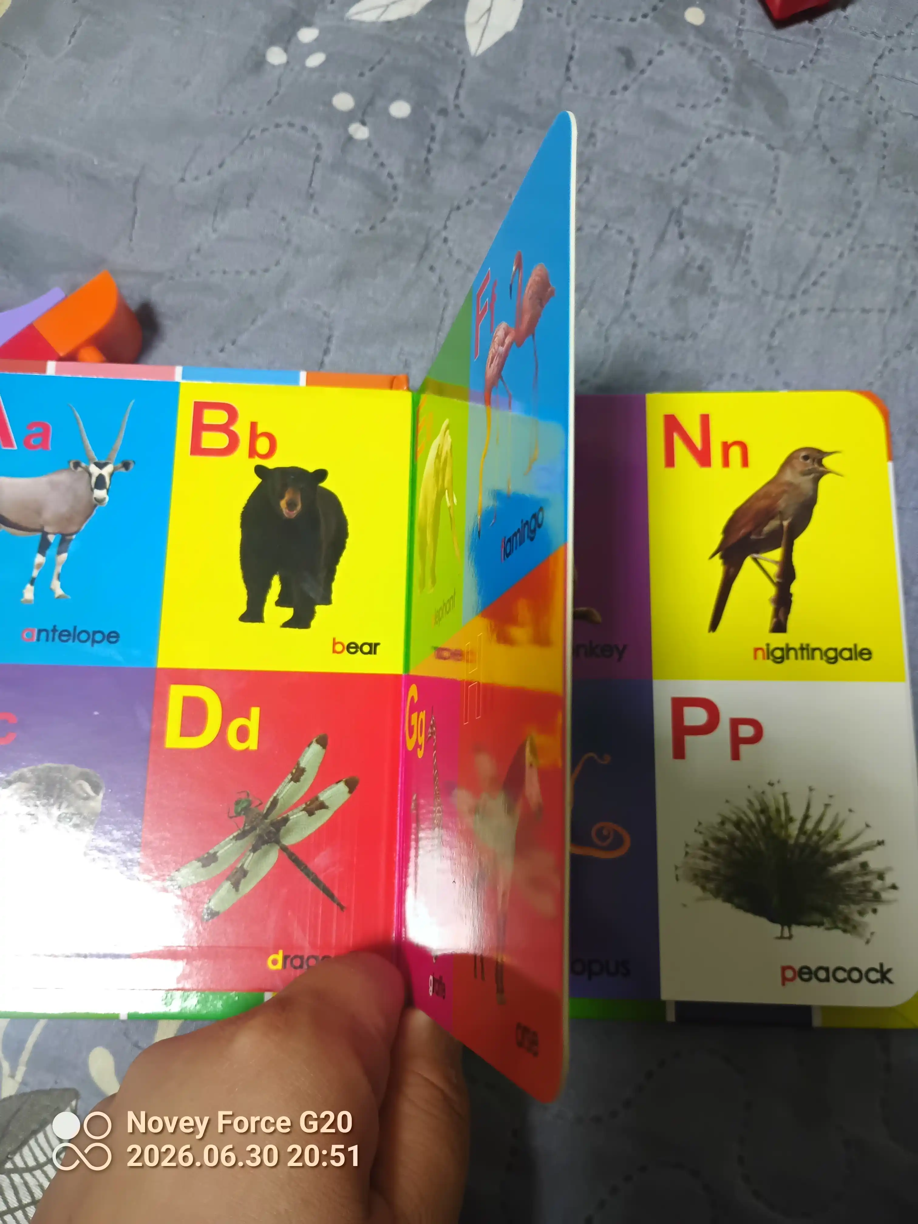 Ingliz tilini o'rganish, mening birinchi 100 ta so'zim, bolalar uchun rasmli kitoblar