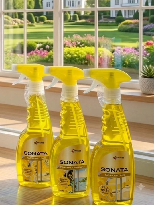 Oyna tozalagich, sprey, sonata, universal tozalash vositasi, shisha uchun, to'plam - 