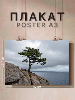Ледяной