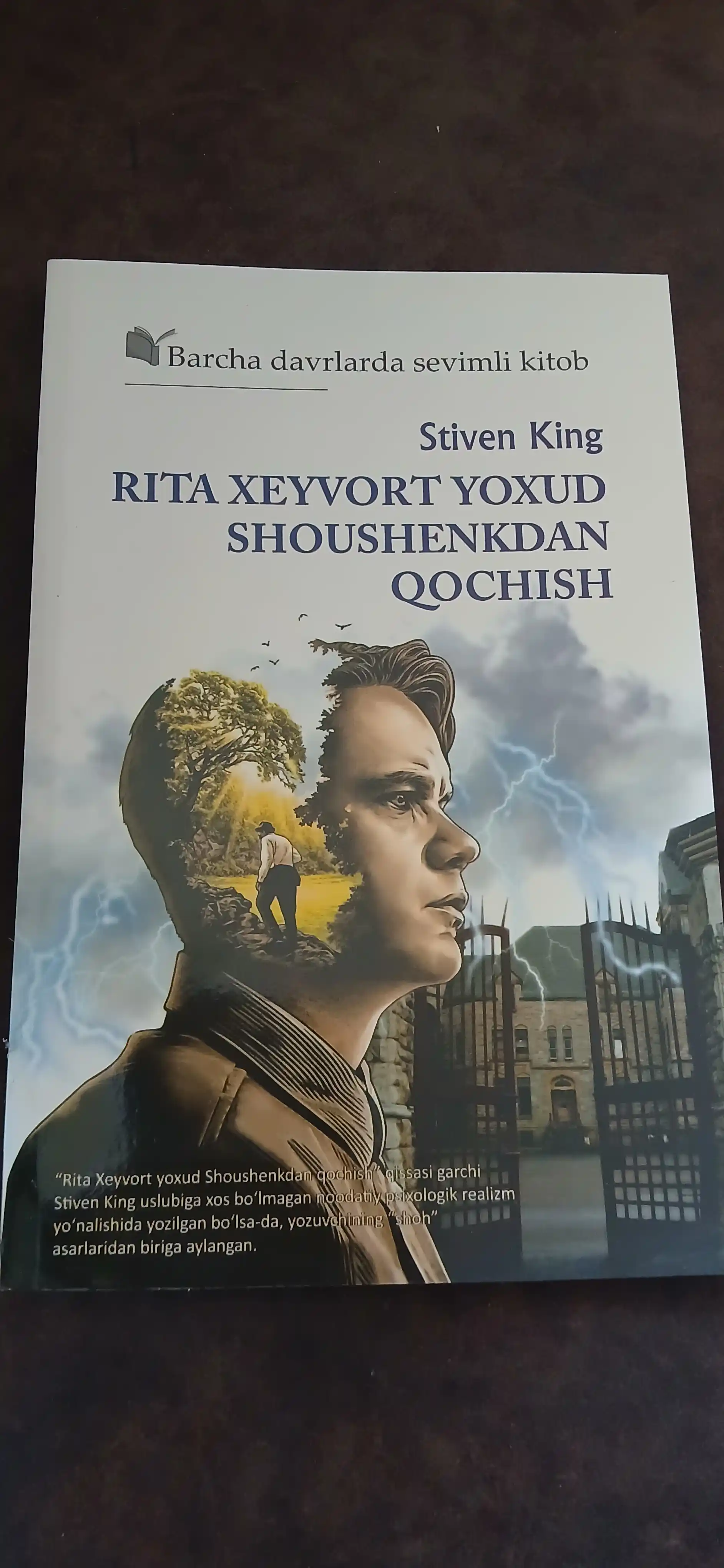 Побег из Шоушенка, или Рита Хейворт – Стивен Кинг, История о надежде и свободе