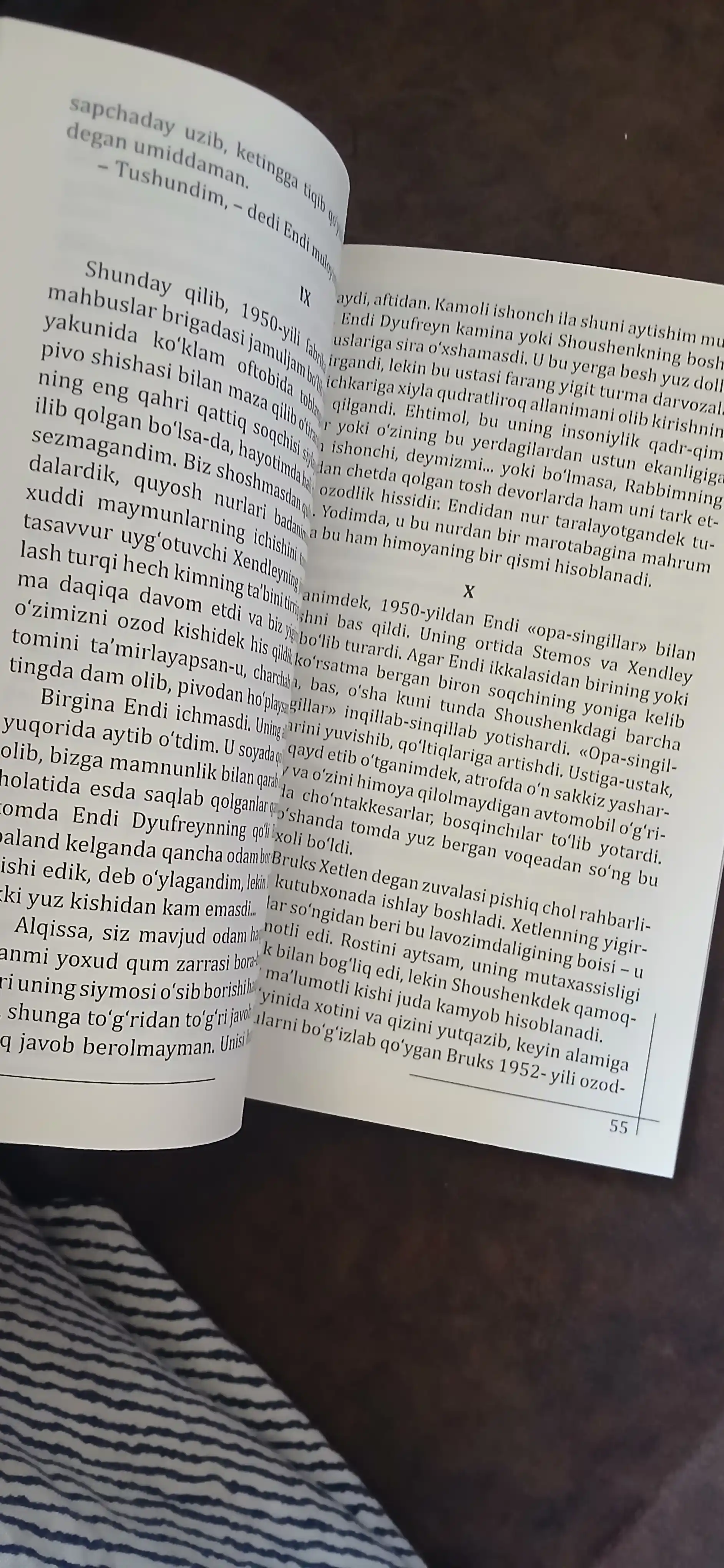 Побег из Шоушенка, или Рита Хейворт – Стивен Кинг, История о надежде и свободе
