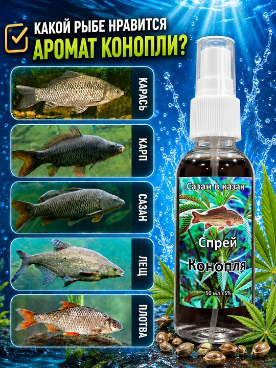 Спрей рыболовный для насадок с разными вкусами