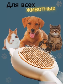 Салатовый