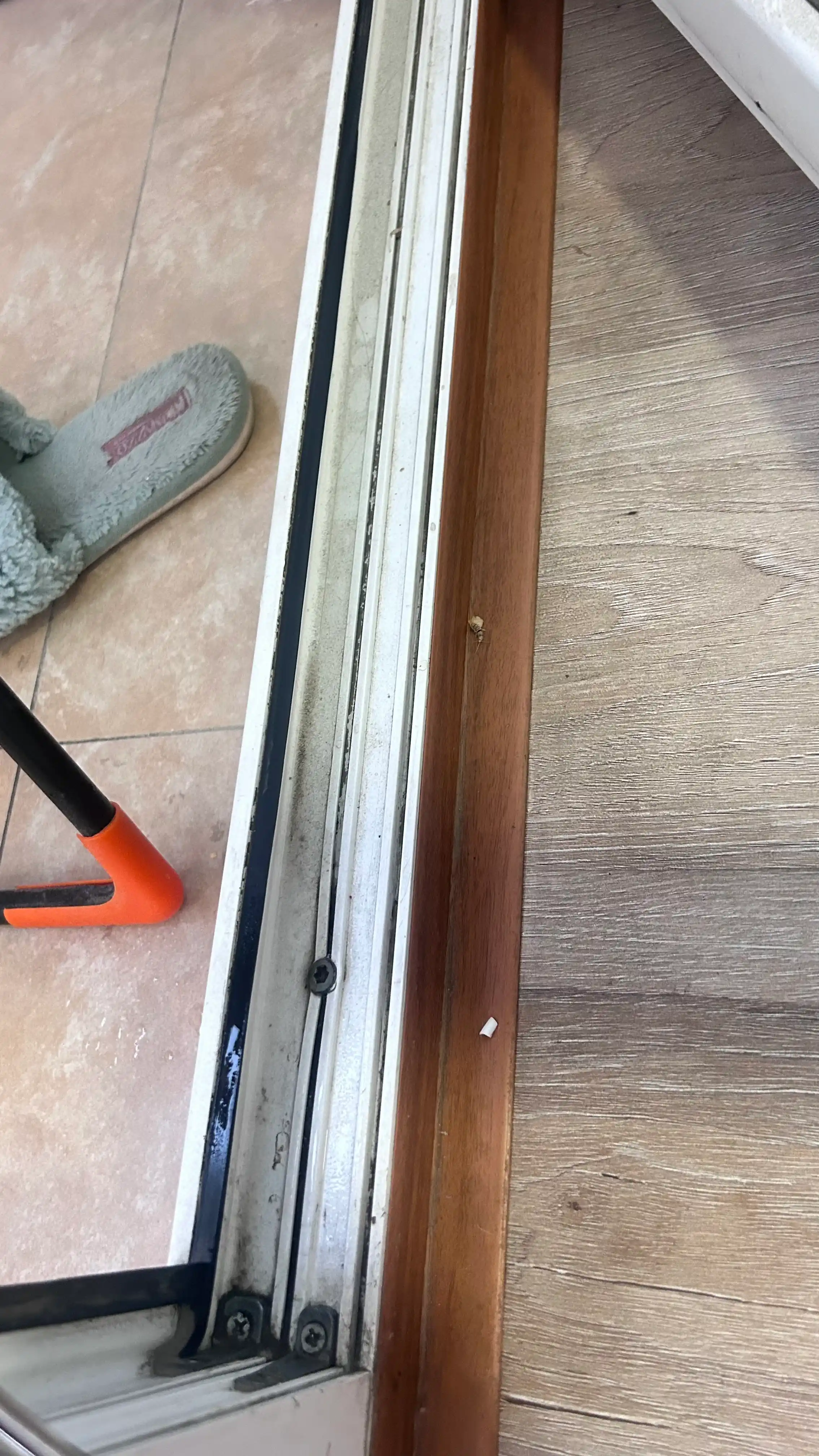 Bug'li tozalagich (17ta nasadkali), uy tozalash uchun paroochistitel