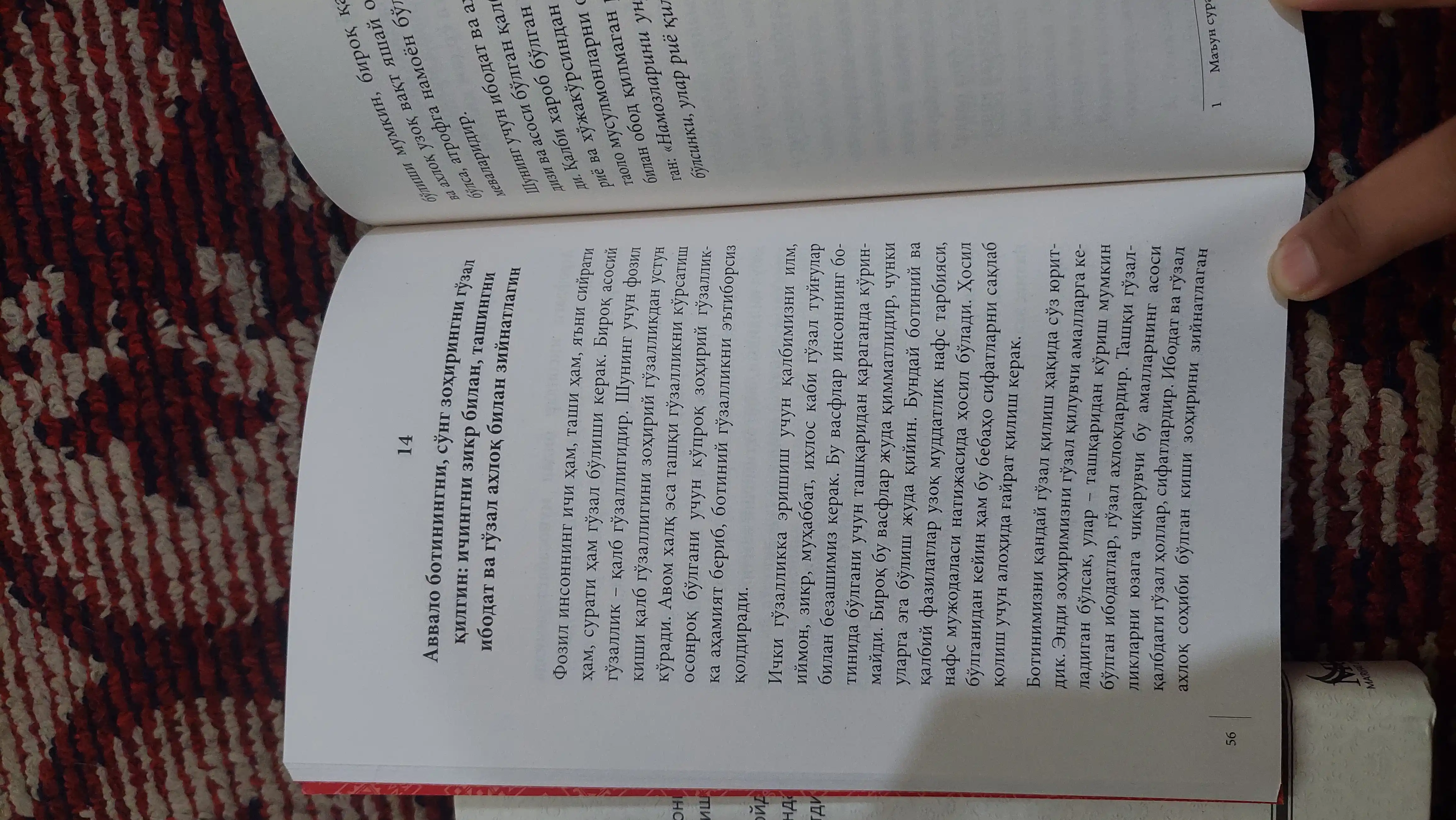 Futuvvat, Rajab Shonturk