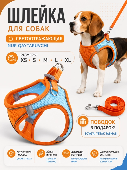 Прогулочная шлейка - жилетка, для собак и кошек разных пород, с поводком, 1.5 м - 