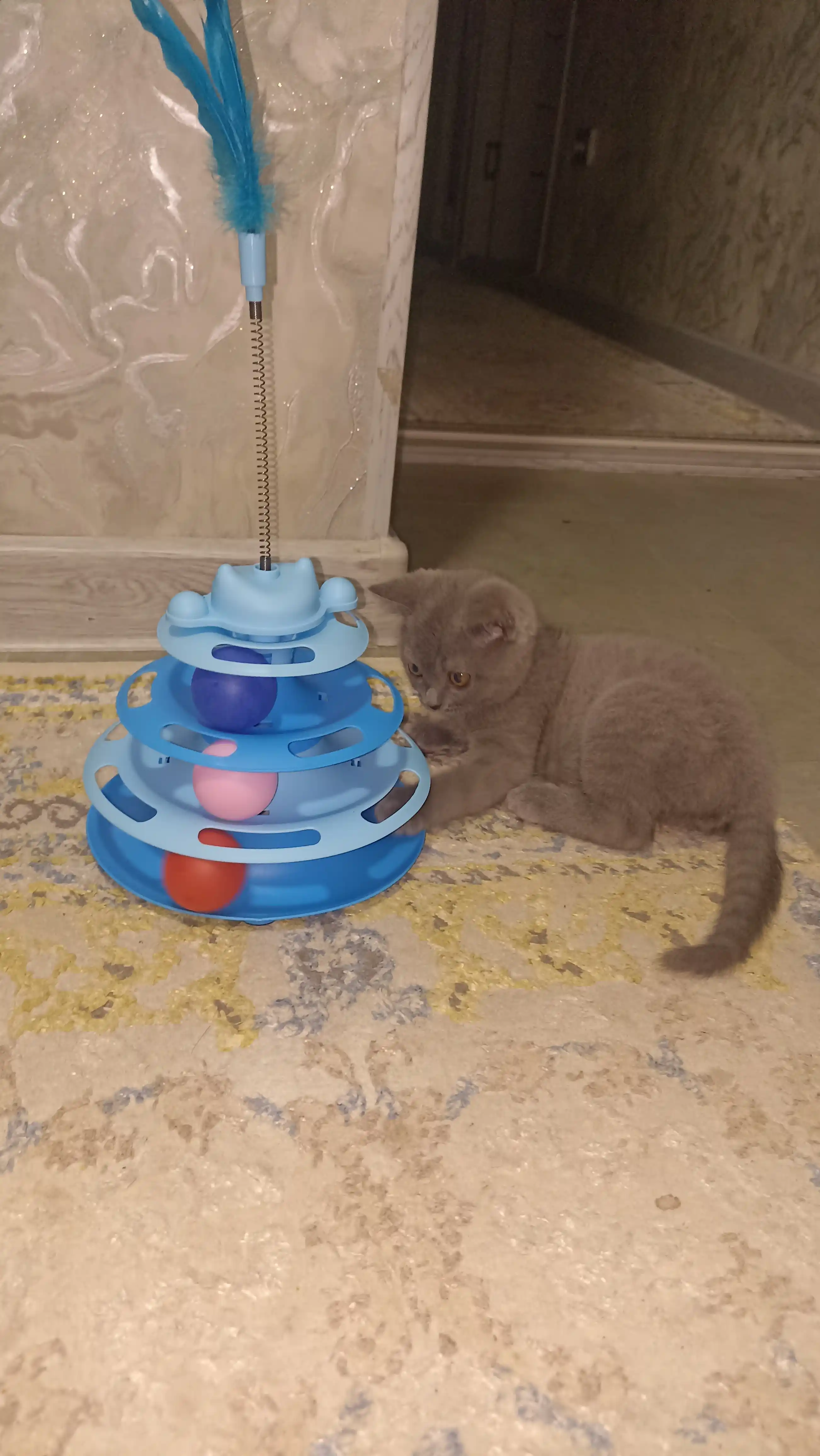 Игрушка для кота