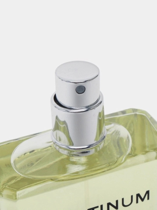 CHANEL Platinum Égoïste EDT 100 ml — erkaklar uchun atir, aromatik, yashil, yog‘ochsimon ifor