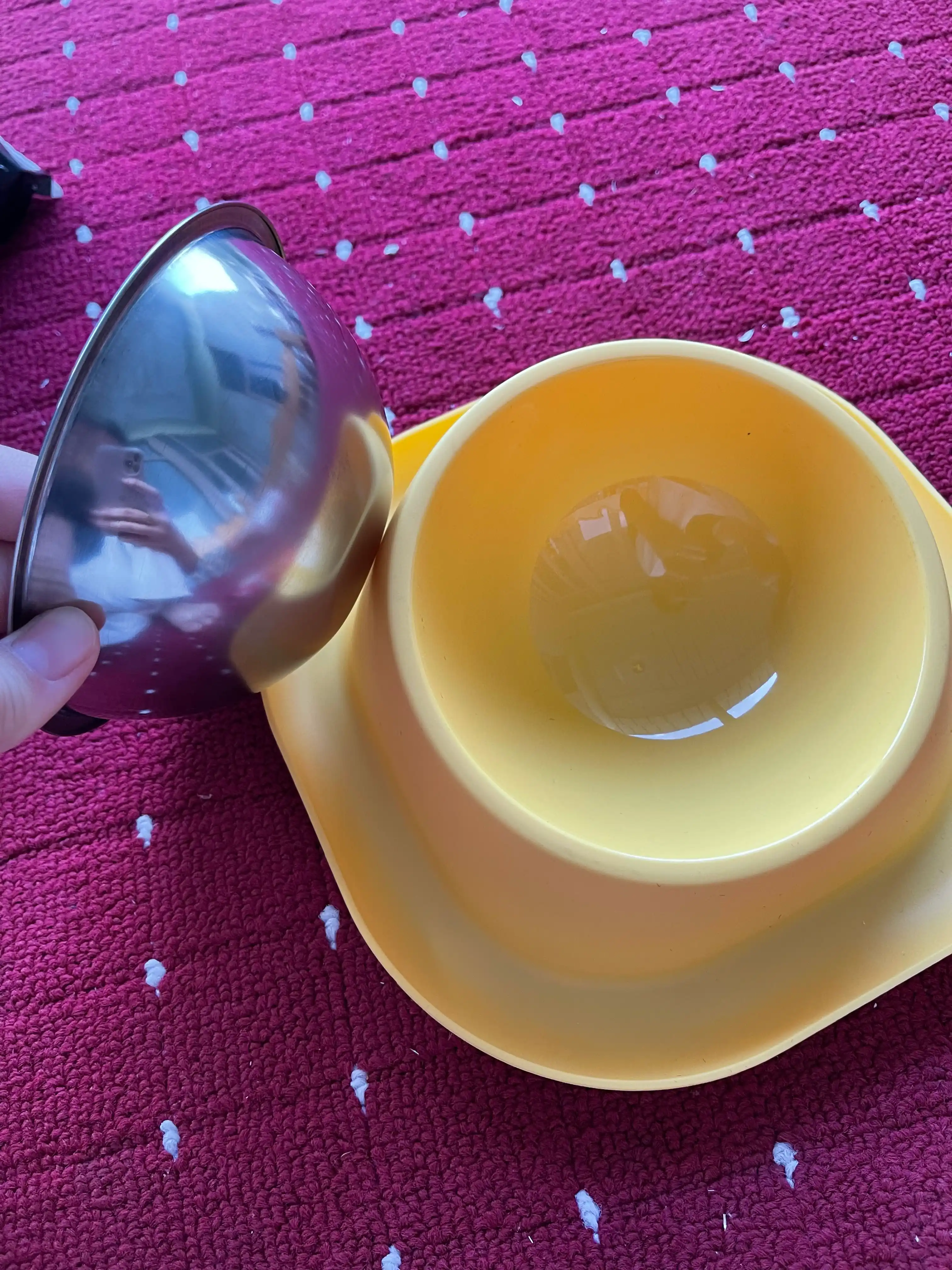 Kichik zotli itlar, Mushuklar va mushukchalar uchun plastik stenddagi metall idish