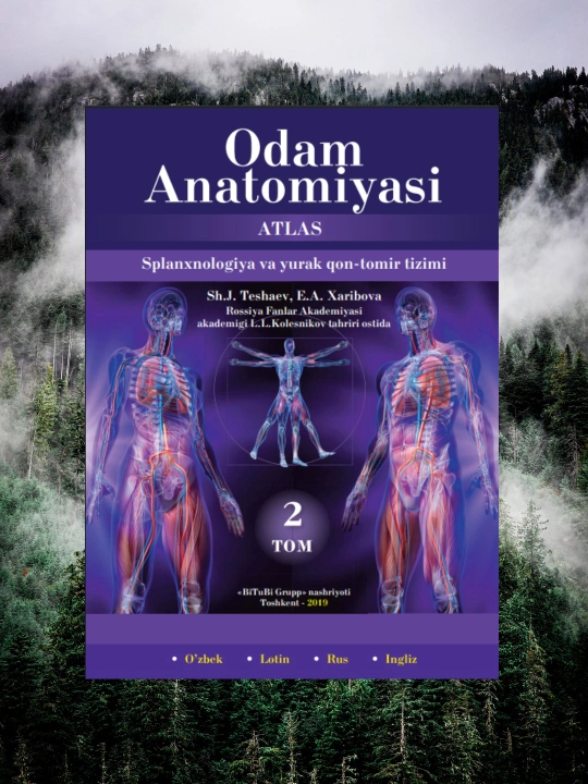 Odam anatomiyasi atlasi 2-jild, splanxnologiya va yurak-qon tomir tizimi - 