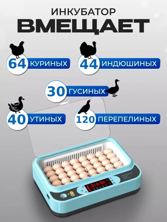 Умный инкубатор для яиц 36/64, автоматический, с переворотом, контроль температуры