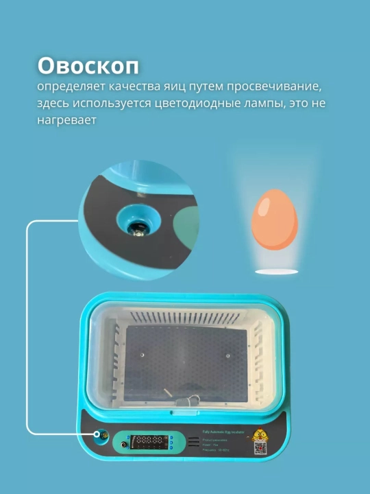Умный инкубатор для яиц 36/64, автоматический, с переворотом, контроль температуры