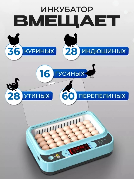 Умный инкубатор для яиц 36/64, автоматический, с переворотом, контроль температуры