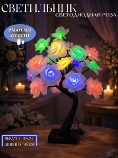 Olcharang