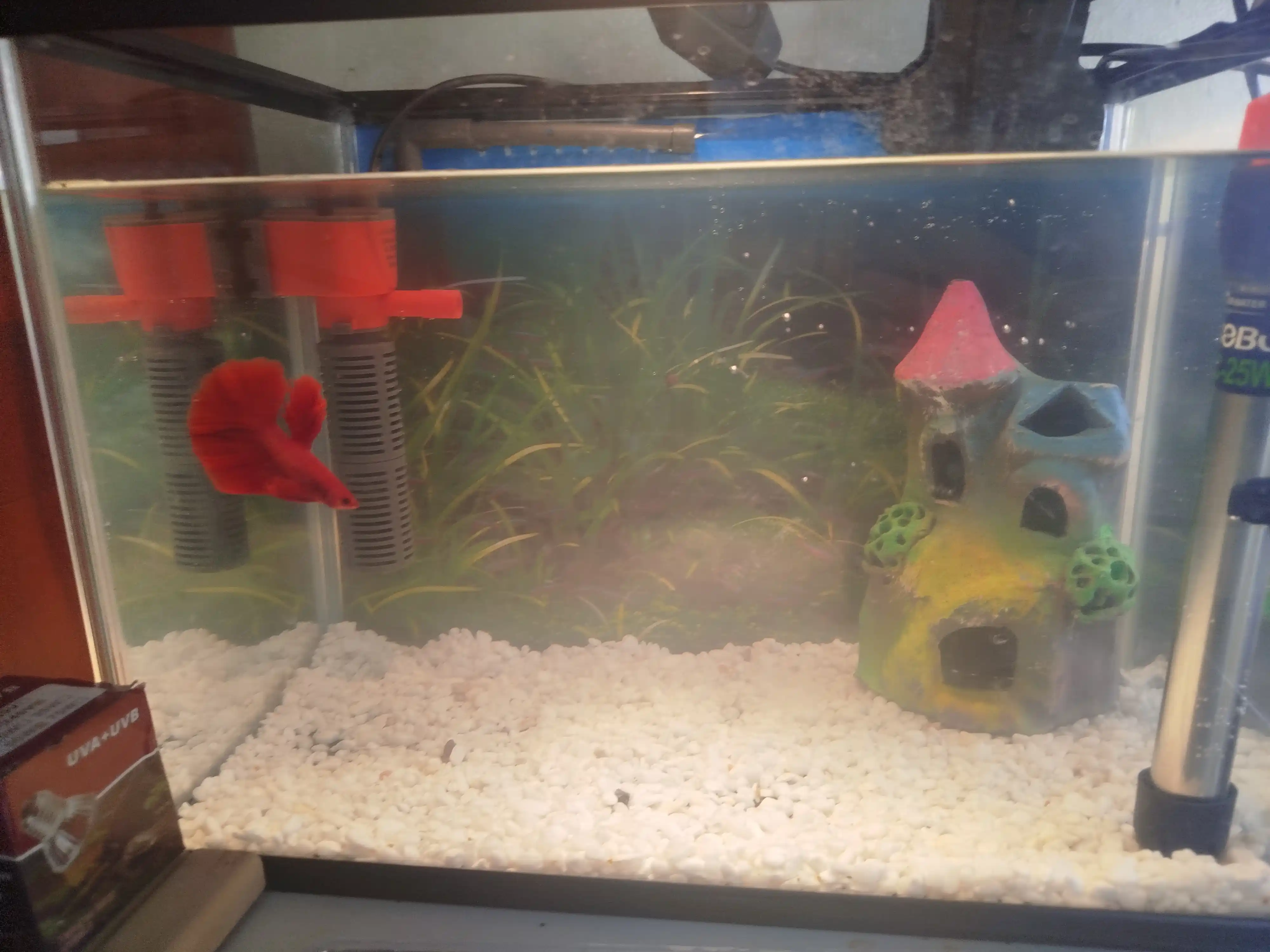 Akvarium uchun tabiiy grunt “Miks Premium” 5 mm, dekorativ tosh, baliqlar uchun xavfsiz