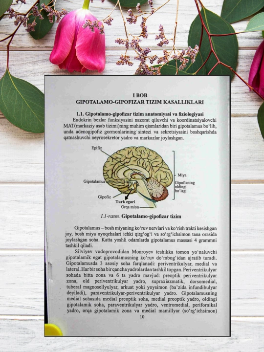 Эндокринология, учебник для студентов медицинских вузов, без CD