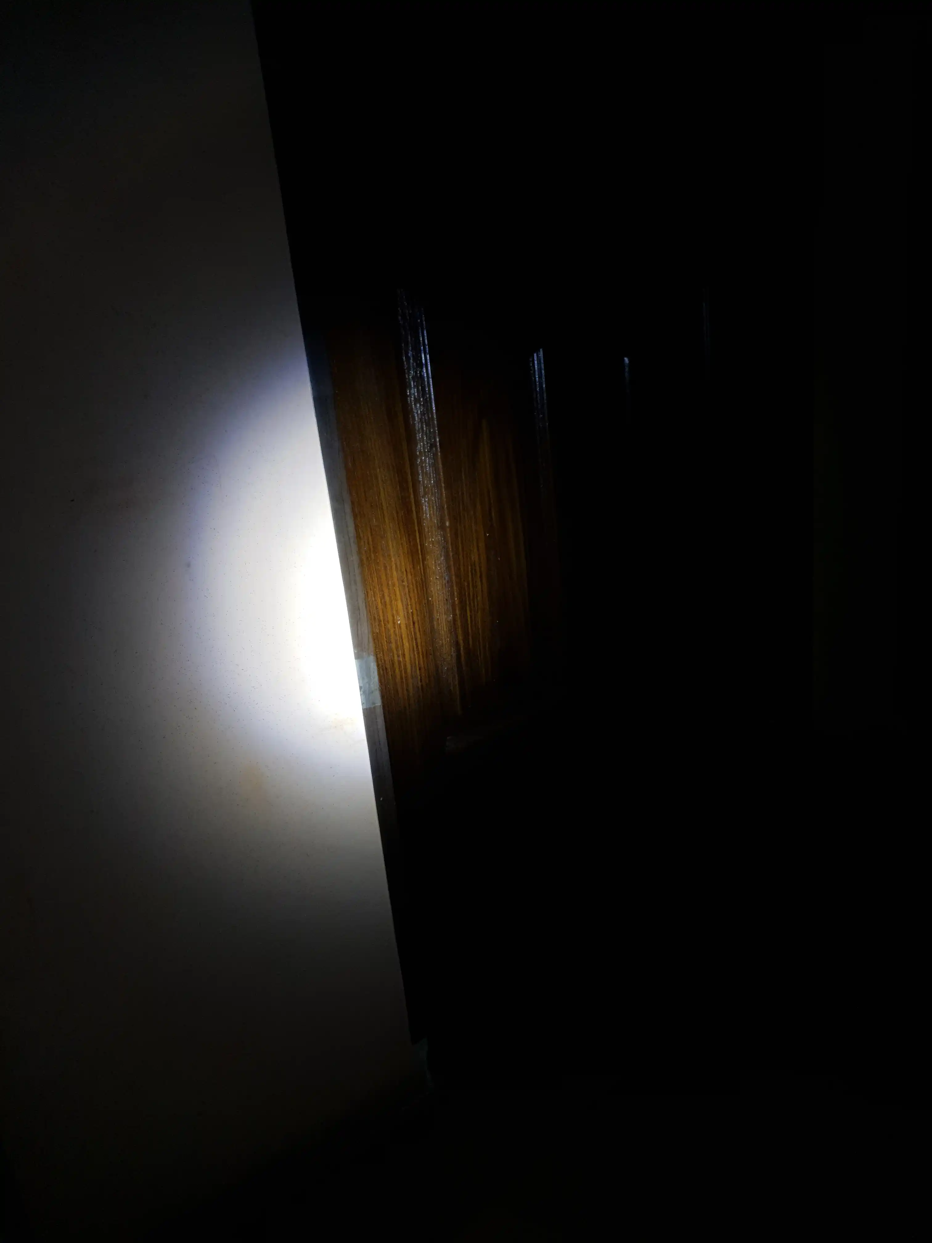 Yorqin LED chiroq + ultra baland ovozli velosiped signali, zaryadlovchi bilan