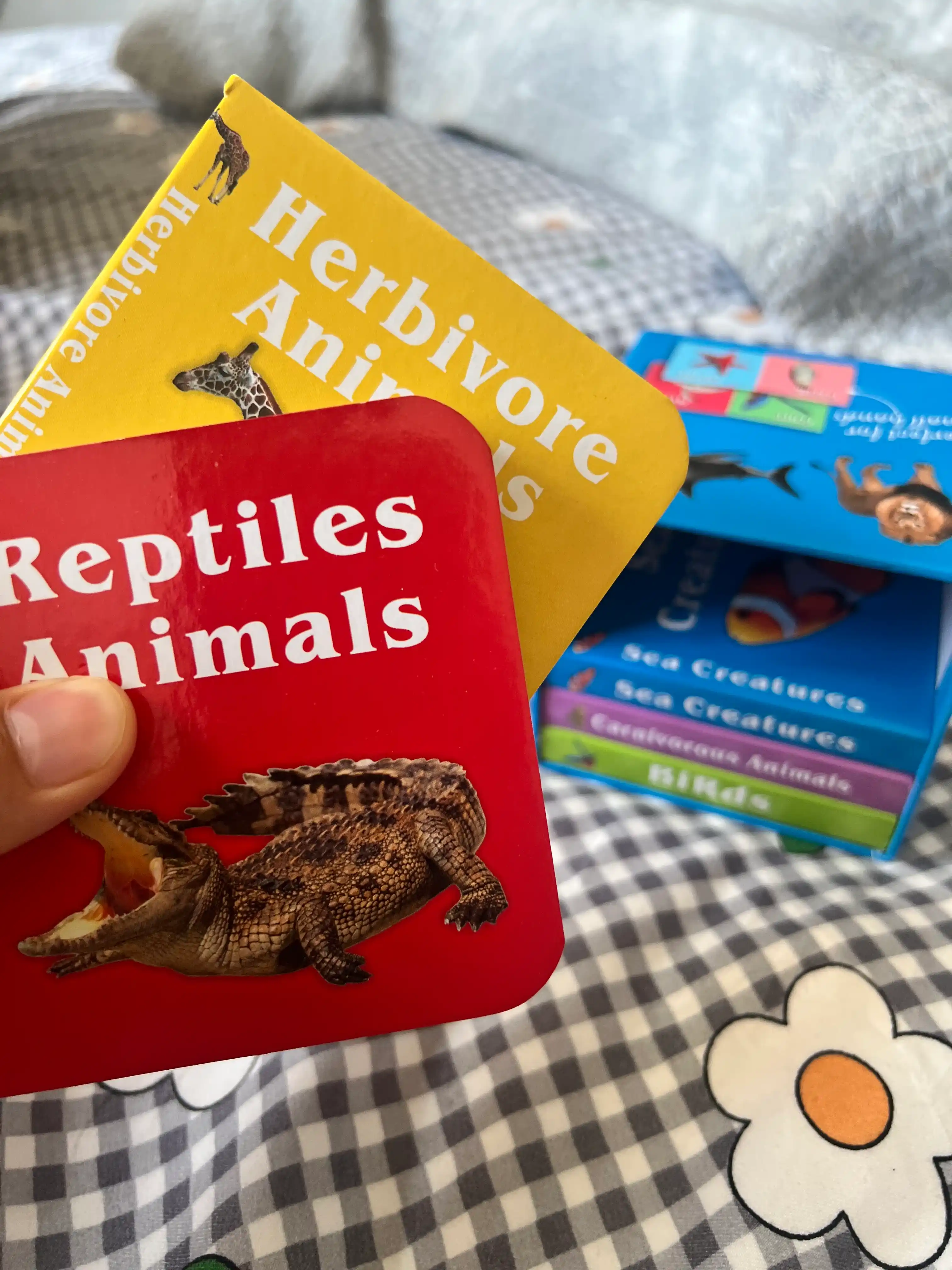 Ingiliz tilini o'rgatish uchun Usborne kitobi, qattiq muqovali bolalar kitoblari, 10 dona