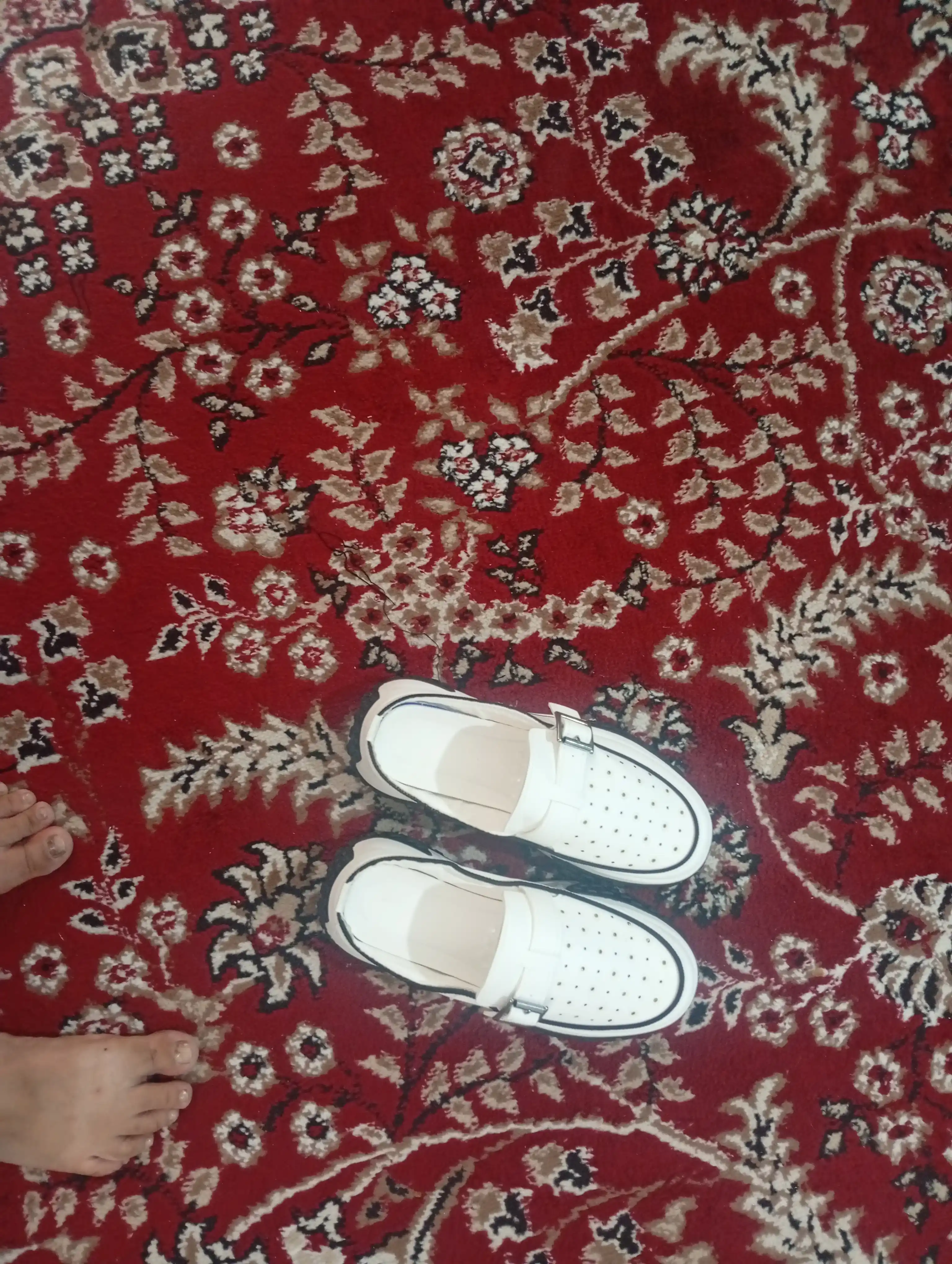 Ayollar poyabzali, shippaklar