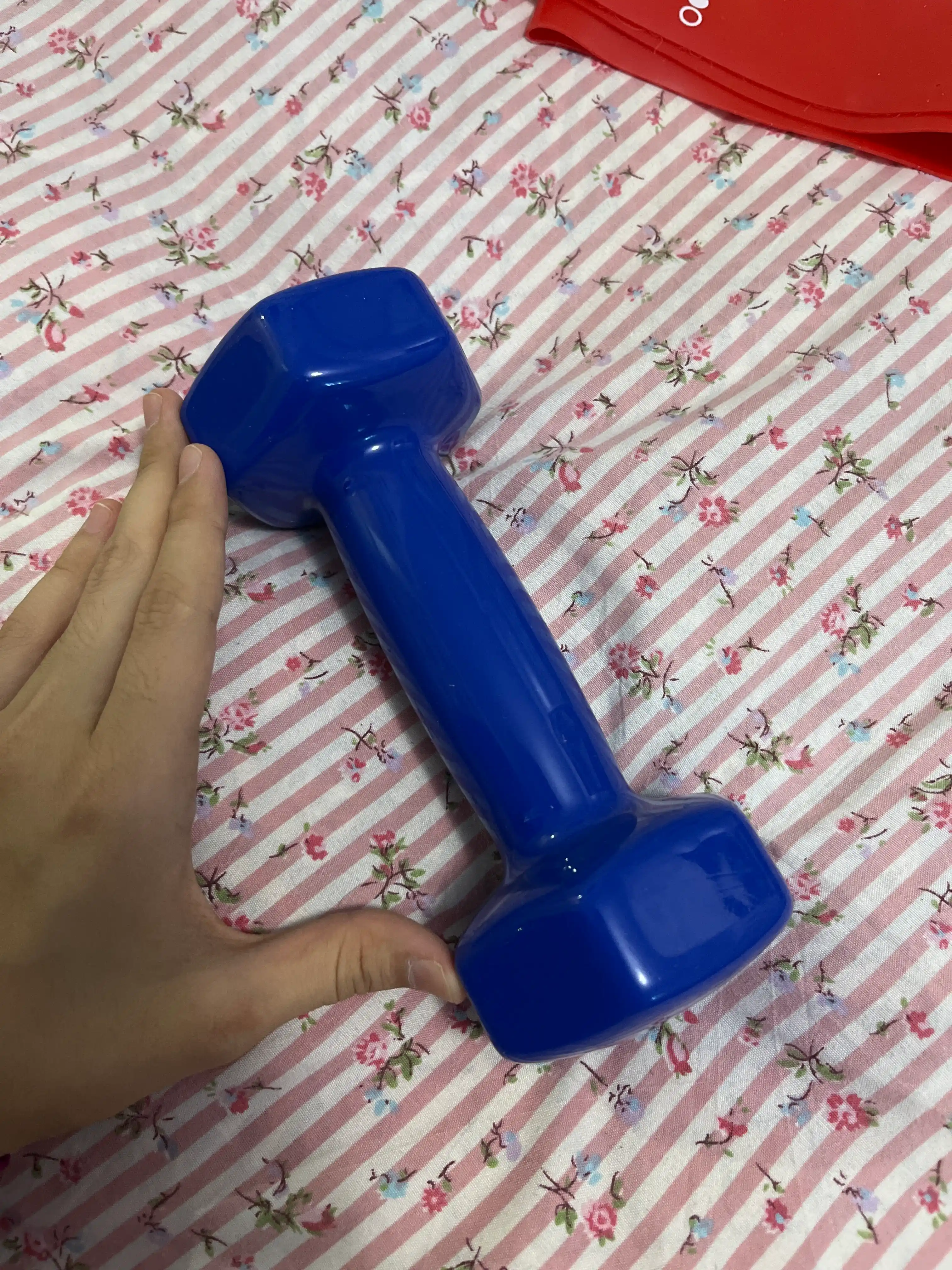 Fitnes uchun 1 kg, 2 kg va 0,5 kg og‘irlikdagi vinil gantellar