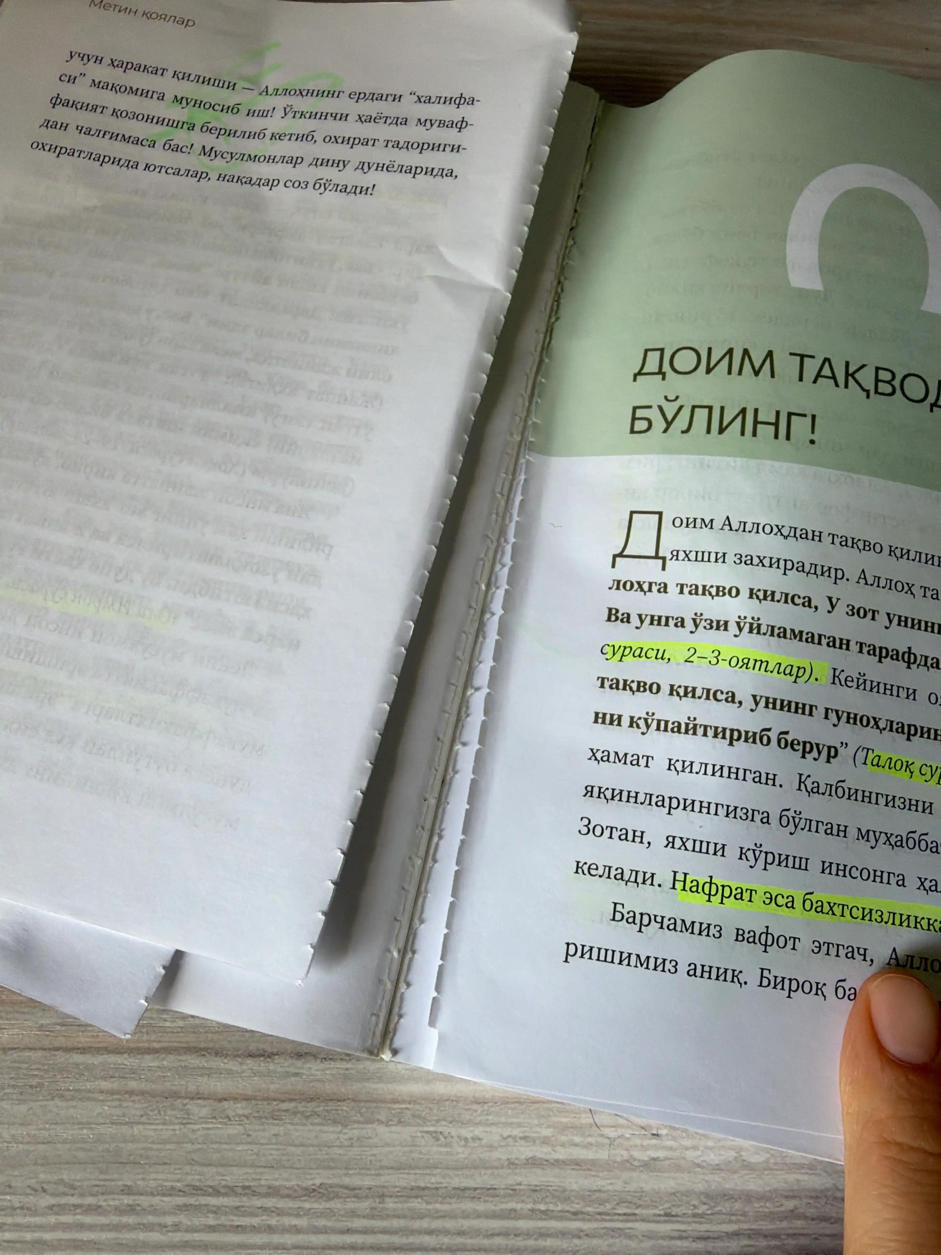 Метин коялар, Хассон Шамсий Пошо