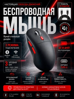 Qora