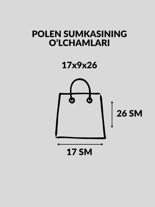 Женская сумка в стиле Polene, для учебы, университета и на каждый день