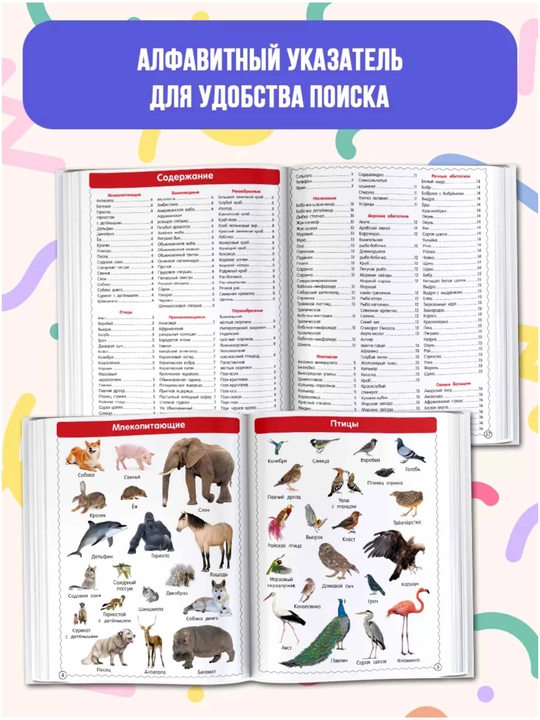Birinchi ensiklopediya bolalar uchun - rasmlari bilan