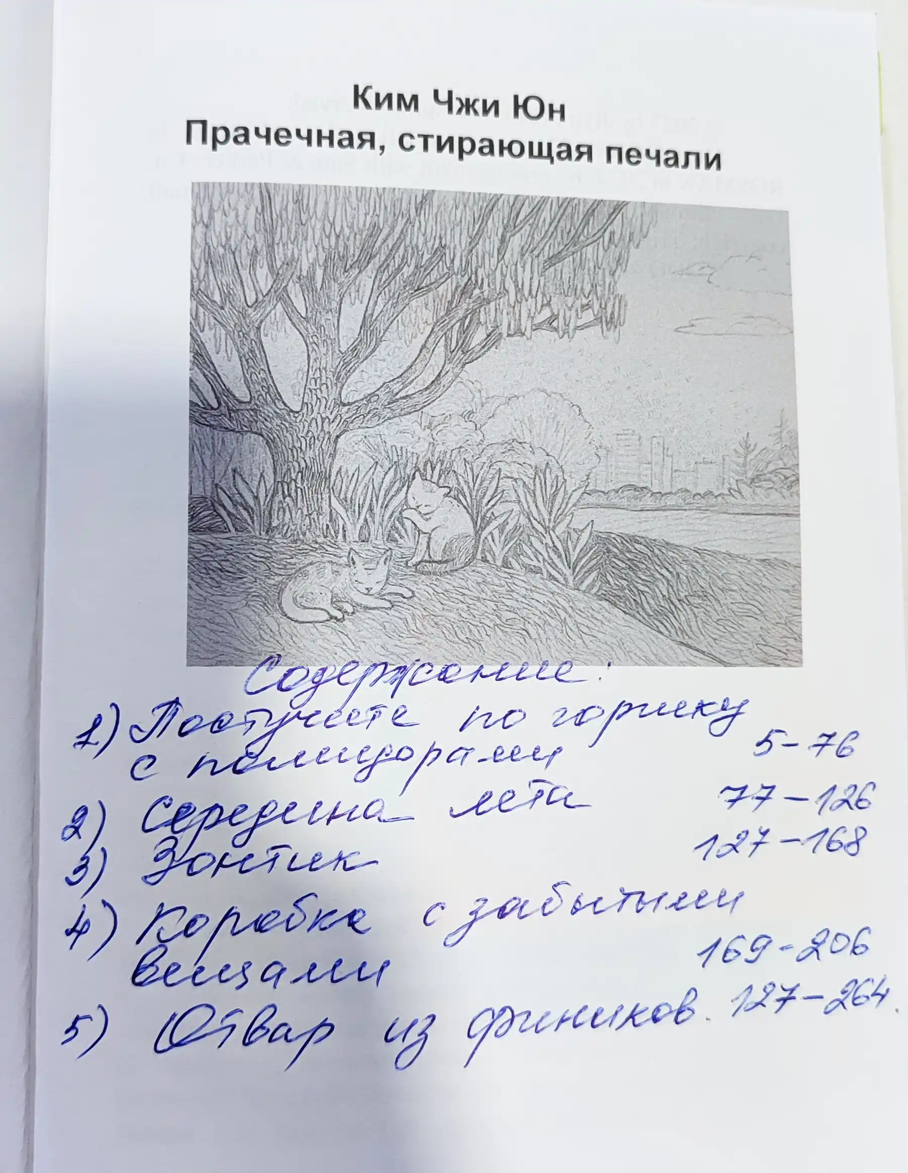 Prachechnaya, stirayushaya pechali – Kim Chji Yun