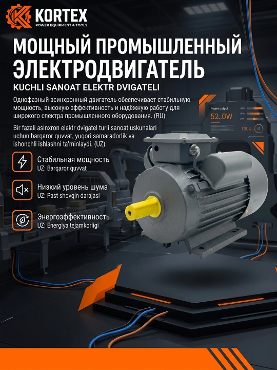 Bir fazali elektrodvigatel 220V 50Gts 3000 ayl/min IP55 sokin, ishonchli