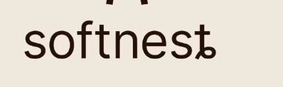 Soft NesT_