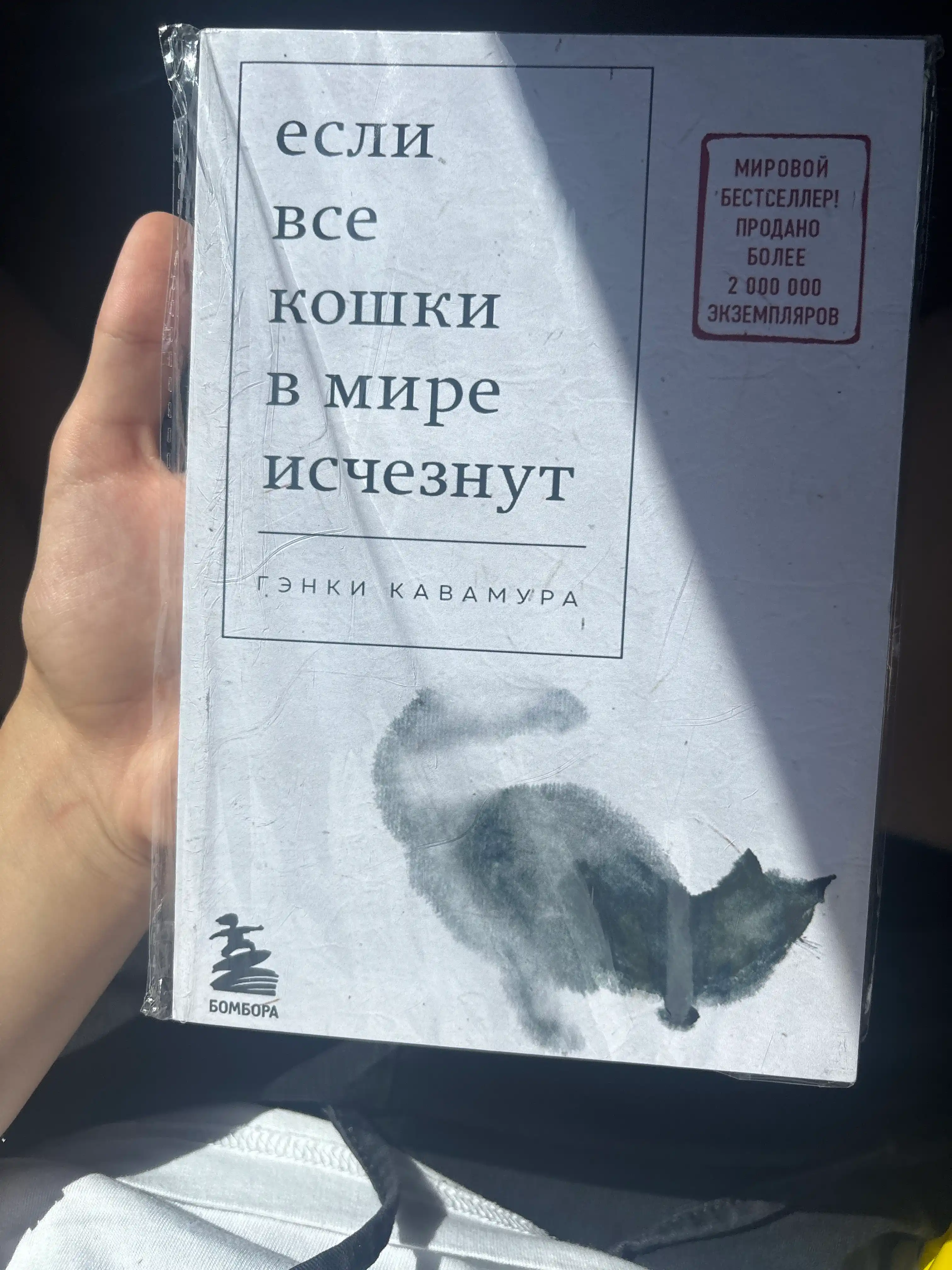 Esli vse koshki v mire ischeznut — Genki Kavamura, falsafiy roman