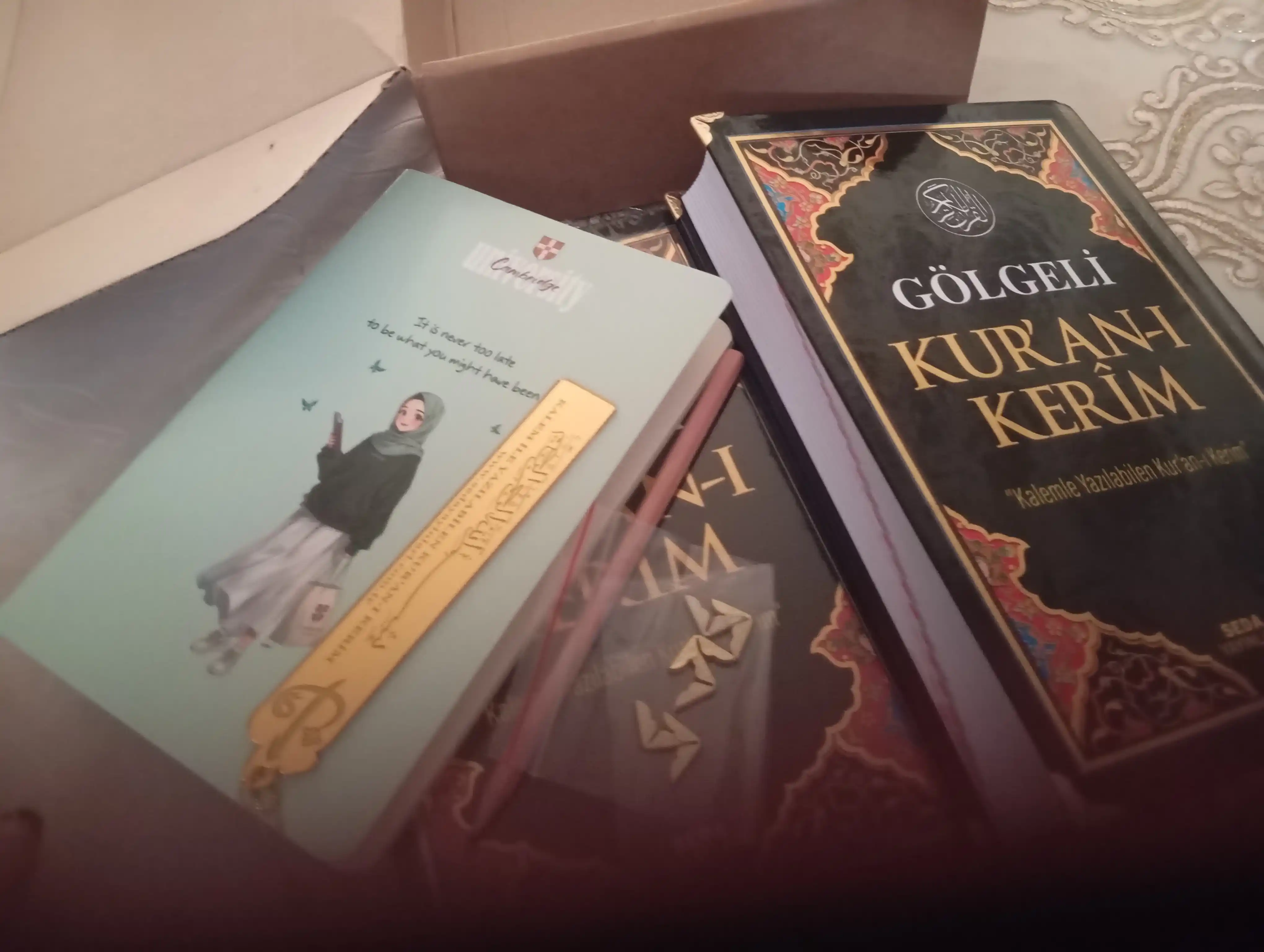 Gölgeli Qur’oni Karim, Soyali Qur’on Karim, Husnixat
