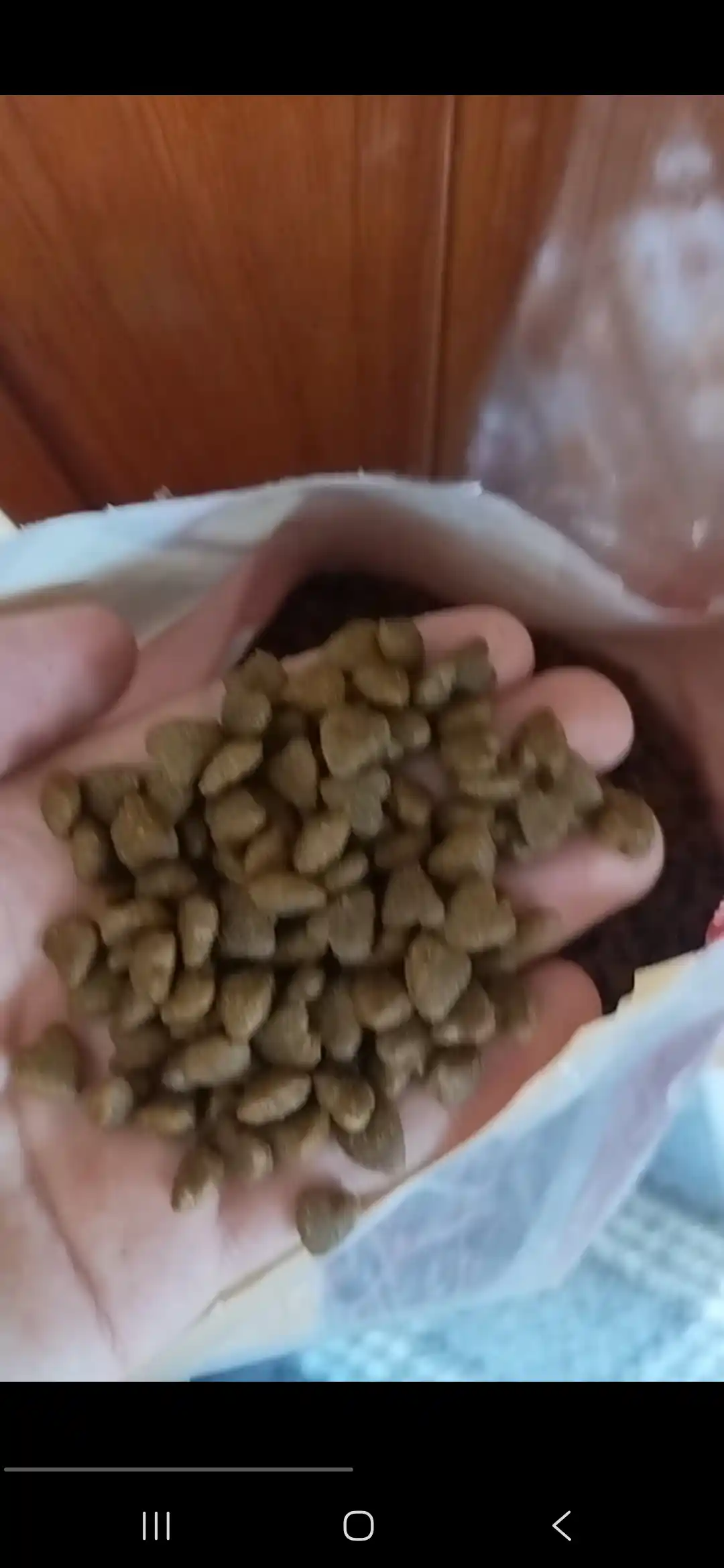 Myaу mushuklar uchun quruq yem, tovuq go‘shti bilan, 11 kg