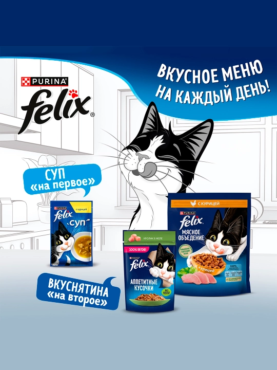 Felix Ikki karra lazzat quruq mushuk ozuqasi, mol goʻshti taʼmi bilan, 200 g