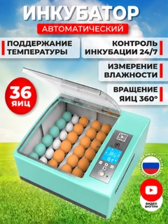 Ментоловый