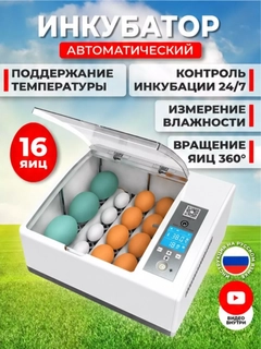 Ледяной