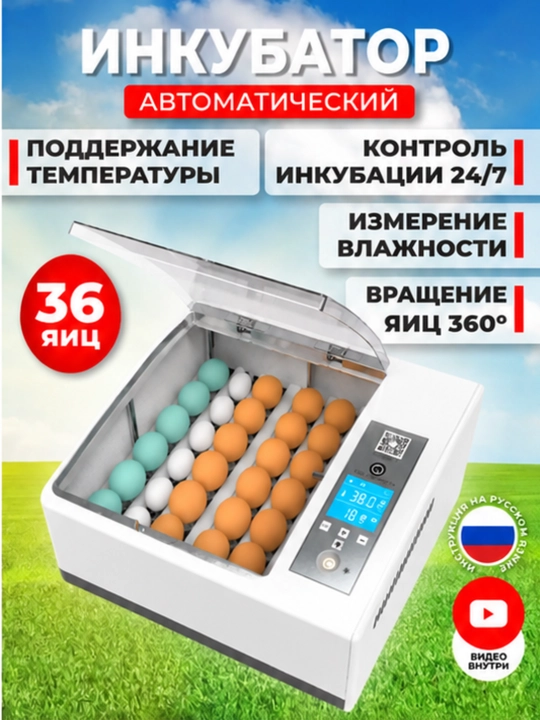 Avtomatik burilishli tuxum inkubatori, termoregulyator, haroratni nazorat qilish