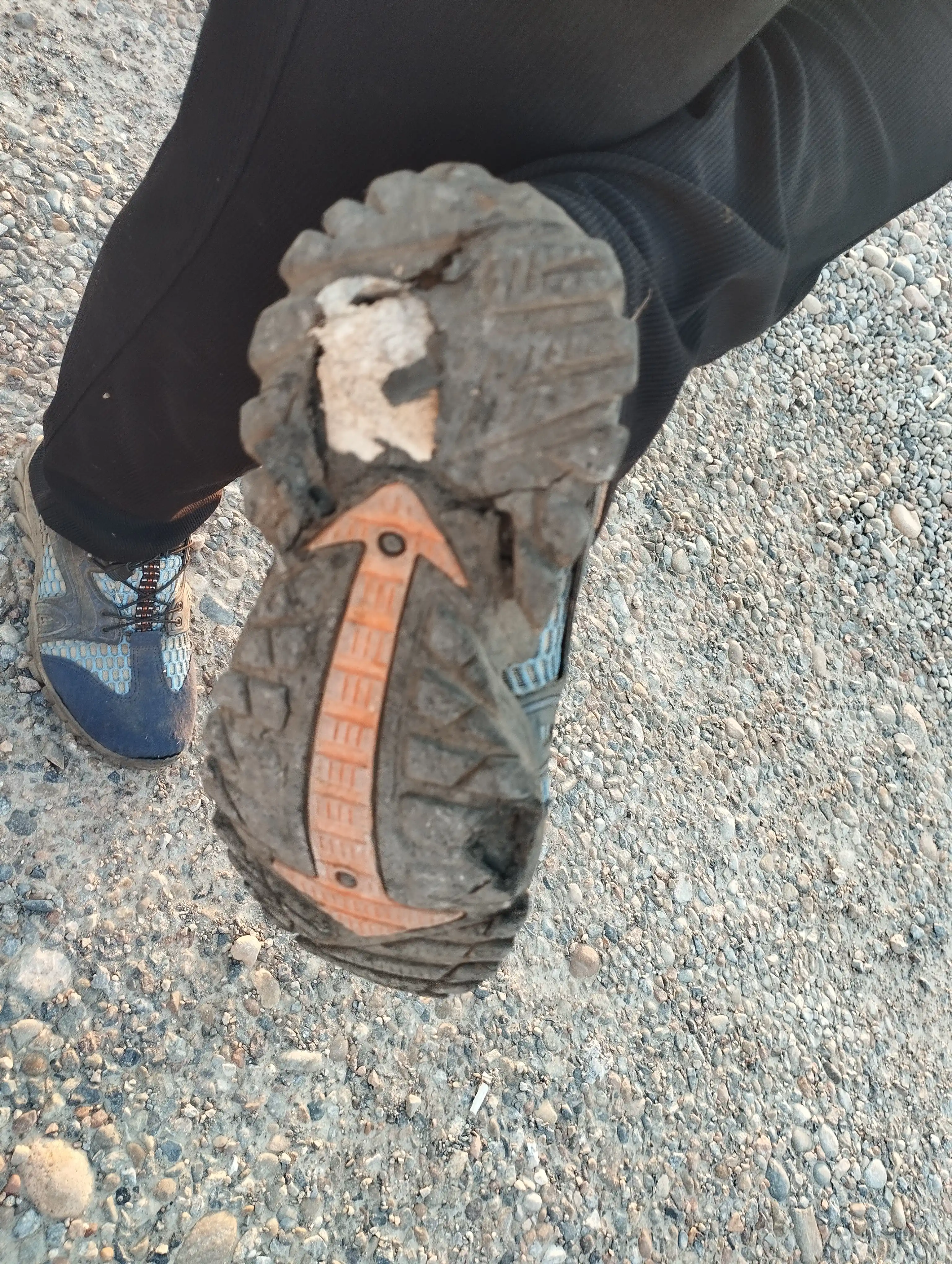 Erkaklar uchun treking krossovkalari, ZEVANO SummerTrek, sport