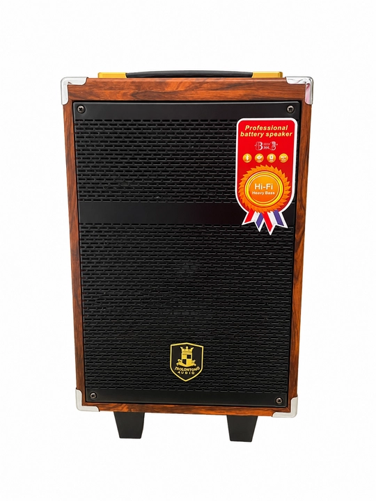 Колонка караоке BAAB B-Q12 с 2 беспроводными микрофонами