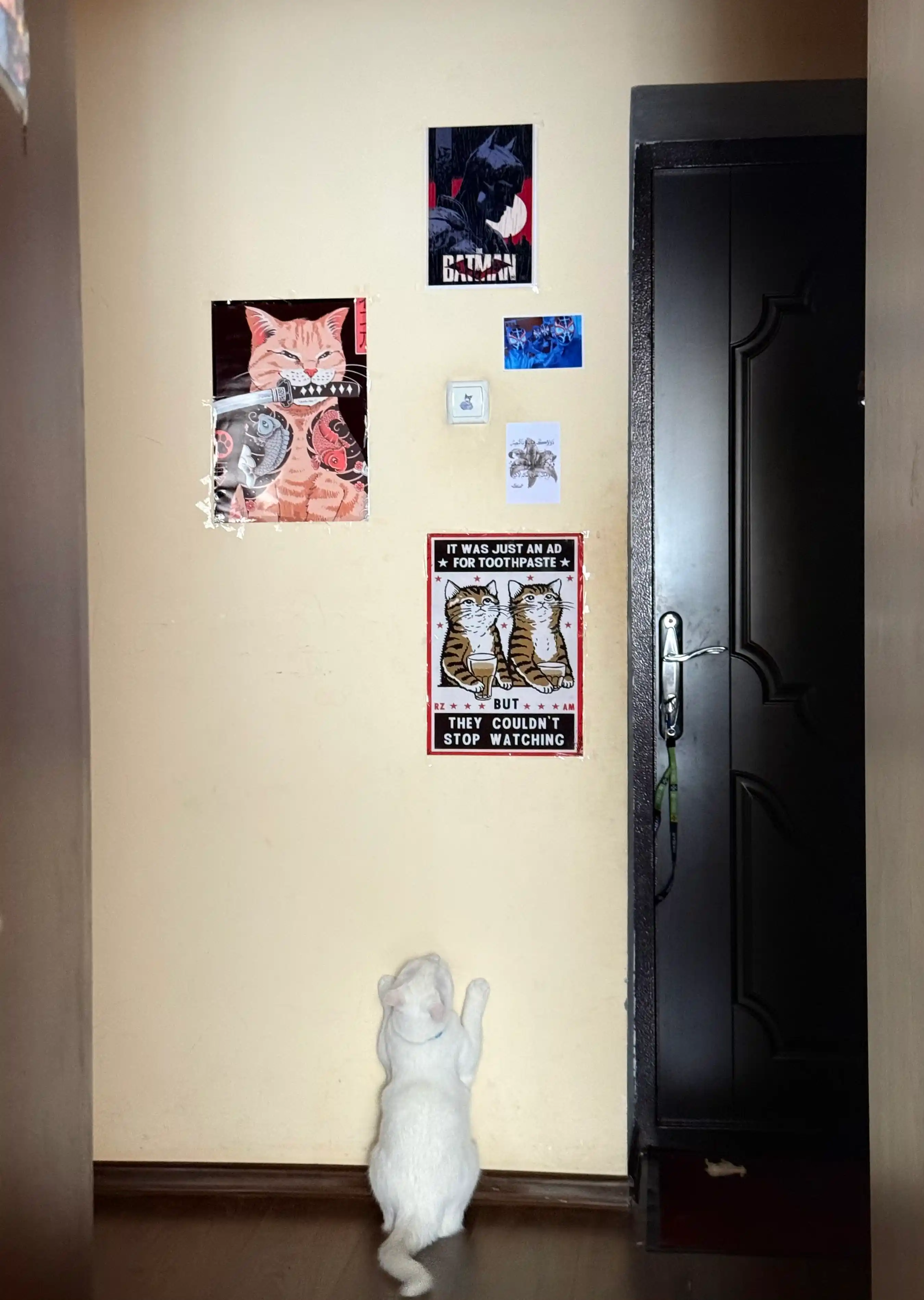 Devordagi poster mushuklar, interyer, A3