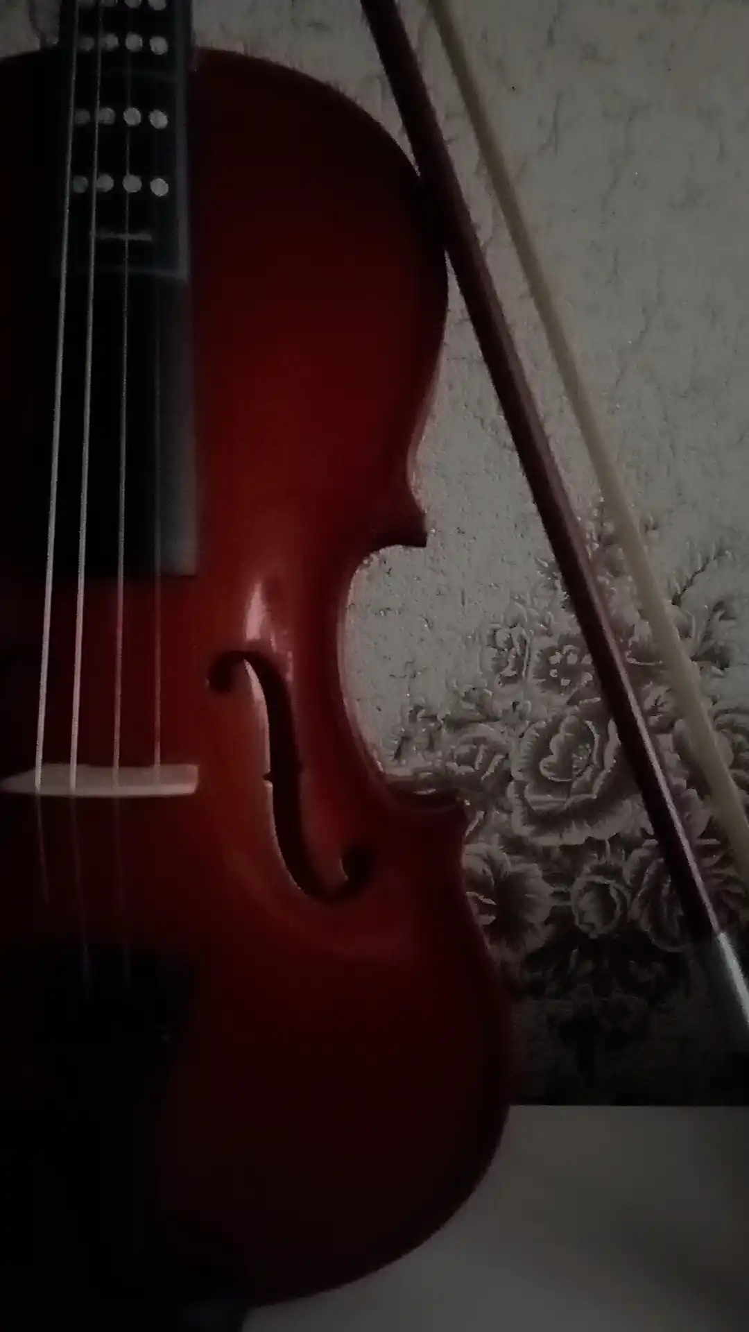 4/4 Akustik skripka, 8 ta 1 to'plamda
