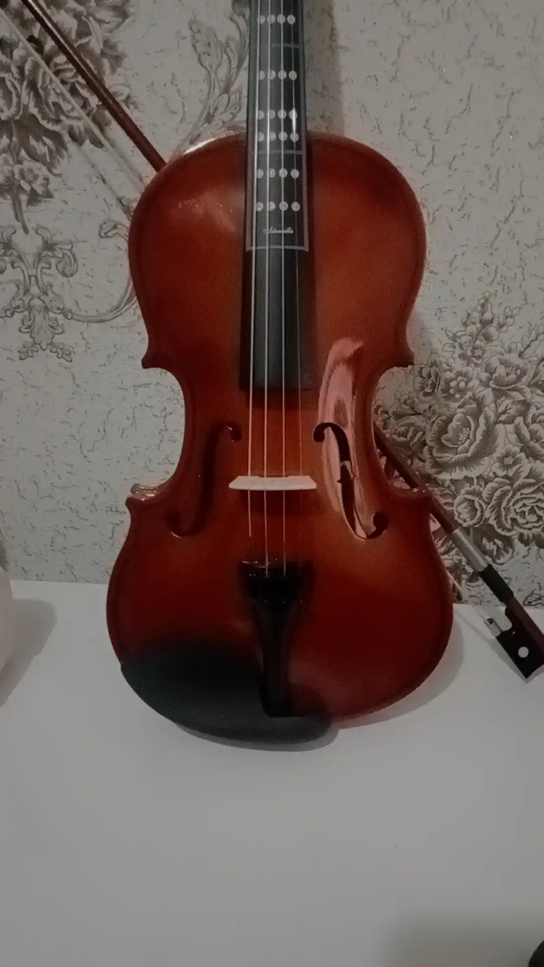 4/4 Akustik skripka, 8 ta 1 to'plamda